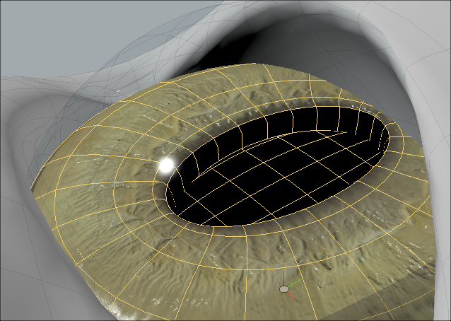 Stretchable iris geometry.