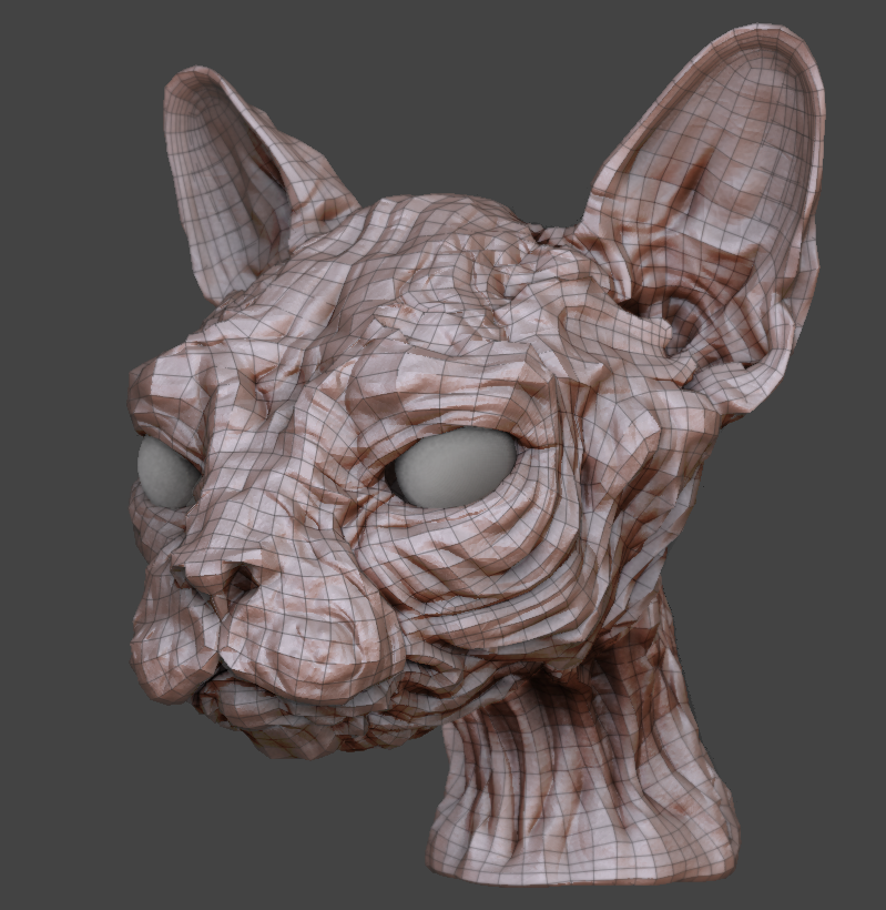 ZBrush mesh with displacement enabled.